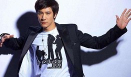 凤凰爆料王力宏视频全集,凤凰爆料背后的真相与情感纠葛